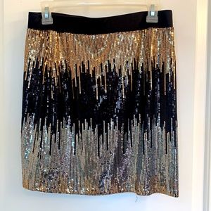 Sequin Skirt